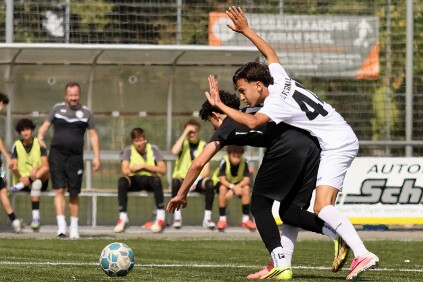 IMG_008