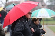 IMG019.JPG
