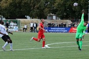 IMG039.JPG