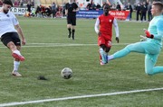 IMG037.JPG